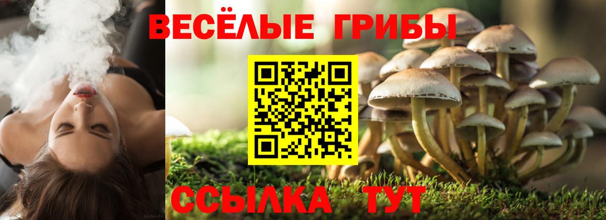 Егорьевск  Псилоцибиновые грибы мухоморы  Вход с VPN 
